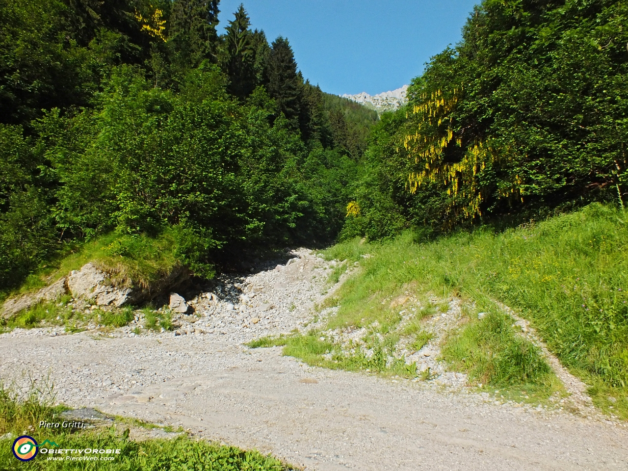 06 fino al canale dove parcheggio l'auto e prendo il sentiero. a dx......JPG